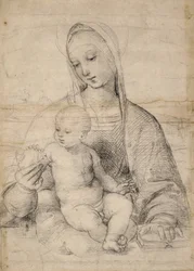 Madonna z granatu, ok.1504 (kreda czarno-szara)