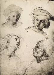 Badanie czterech męskich twarzy; rysunek Rafaela. Gallerie dellAccademia, Wenecja