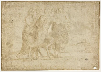 Faun i nimfy