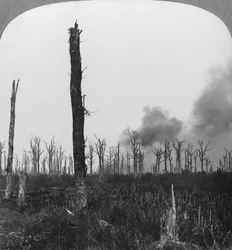 Pociski odłamkowo-burzące pękające w lesie Mametz we Francji, I wojna światowa, 1916 r