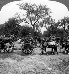 Artyleria konna, I wojna światowa, 1914-1918.