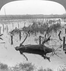 Otwarte śluzy i drut kolczasty w Nieuwpoort, Belgia, I wojna światowa, c1914-c1918