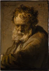Popiersie brodatego starego mężczyzny, 1633
