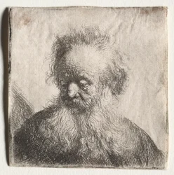 Stary człowiek z rozwianą brodą: Biust, 1631.