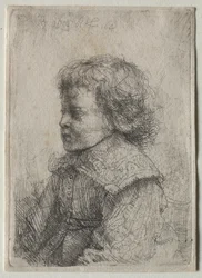 Portret chłopca z profilu, 1641.