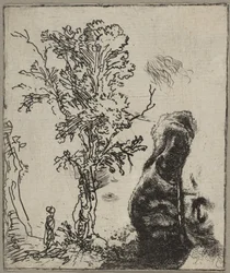 Arkusz z dwoma opracowaniami: drzewo i górna część głowy Rembrandta w vel..., ca. 1642.