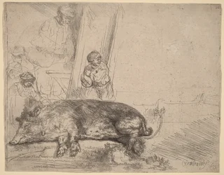Hog