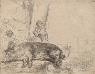 Wieprz, 1643.