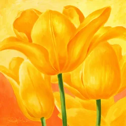 Słoneczne żółte tulipany