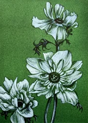 Upiorne zielone kwiaty