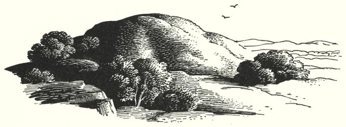 Hans Christian Andersen: Góra elfów (lito)