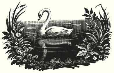 Hans Christian Andersen: Brzydkie kaczątko (lito)