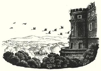 Hans Christian Andersen: Dzikie łabędzie (lito)