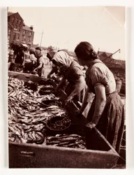 Wędkarstwo, Fisherfolk Kobiety sortujące ryby, Port Whitby, North Yorkshire, ok. 1905