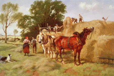 Kosiarze siana