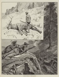 Wapiti-Hunting w Ameryce Północnej (grawerowanie)