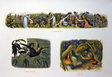 W krainie wróżek