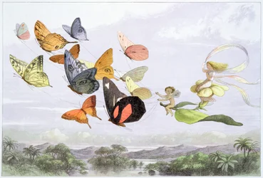 „Powóz Królowej Wróżek”, ok. 1870 r.