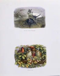 Posłaniec Królowej Wróżek oraz Elf i Sowy, ilustracje z „W krainie baśni: seria obrazów ze świata elfów” autorstwa Williama Allinghama i Andrew Langa