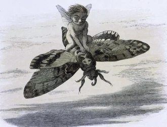 Un elfe chevauchant un papillon. Ilustracja Richarda Doyle