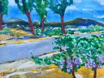 Winnica przydrożna, Napa, 2017