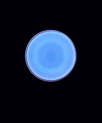 Circle X, 2005 (fotogram cyfrowy typu C)