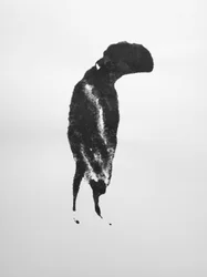 Bez tytułu, 2009 (monotypia)