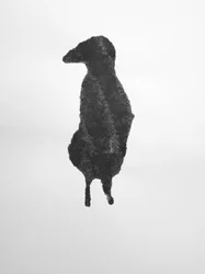 Bez tytułu, 2009 (monotypia)