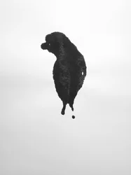 Bez tytułu, 2009 (monotypia)