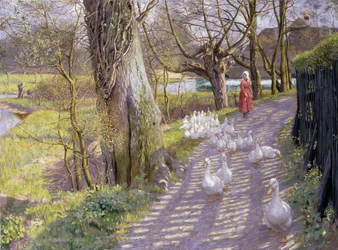 Ścieżka przy Młyńskim Stawie, 1900