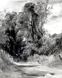 Droga przez drewno (panel)