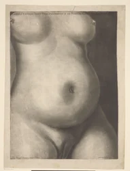 Tułów kobiety w ciąży Sześć anatomicznych odcisków ciąży (tytuł serii) Pokazy ciąży macicy kobiety w pełnym wymiarze godzin (...) (tytuł serii) Caroli Nicolai Jenty Uteri Praegnantis & ad Partum Maturi Demonstrationes (seria