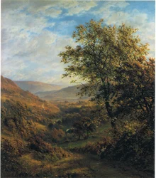 Letni krajobraz (kolor lito)