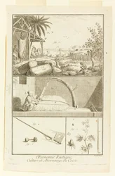 „Cultivation et Arsonnage du Coton” z Encyklopedii Diderota, tom. I