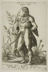 Apollo, płyta 5 z Parnassus Biceps