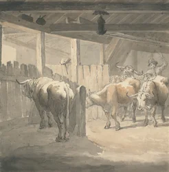 Krowa Byre