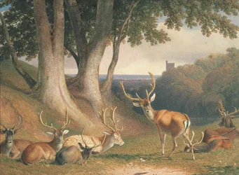 Krajobraz z jeleniem, ok. 1800 (ołówek i akwarela na papierze)
