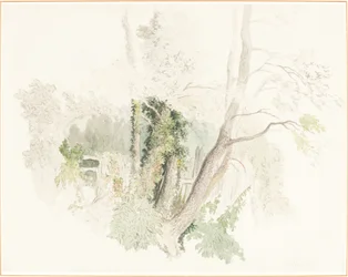 Drzewa w Beddington