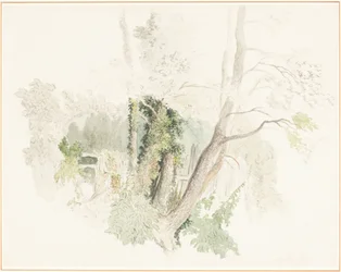 Drzewa w Beddington