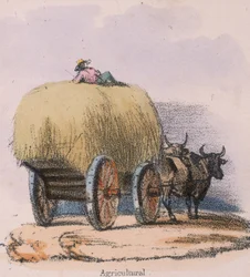 „Rolniczy”, ok. 1845