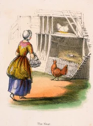 „Gniazdo”, ok. 1845 r.