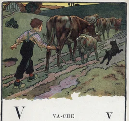 Książka dla dzieci „”Przeczytam – Alfabet metodyczny i zabawny taty””” 1926. Ilustracja Roberta Sallesa (1871-1929). Abecedary: litera V jak krowa. Chłopiec pomaga psu, wypędza na pole stado krów.