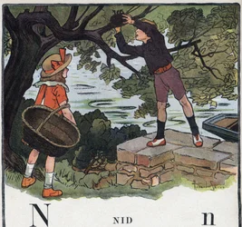 Książka dla dzieci „”Przeczytam – Alfabet metodyczny i zabawny taty””” 1926. Ilustracja Roberta Sallesa (1871-1929). Abecedary: litera N jako Nest. Chłopiec bierze gniazdo zbudowane na drzewie.