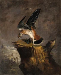 Sęp i jego ofiara, 1844.