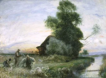 Zbieranie Gałązek