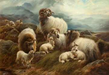 Owce w krajobrazie, 1894