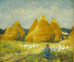 Zbieranie gęsi