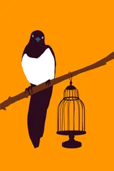 Garden Variety Magpie, 2022 (w wersji cyfrowej)