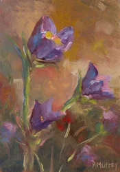Prairie Crocus, 2023 (olej na papierze)