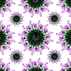 Świat orchidei